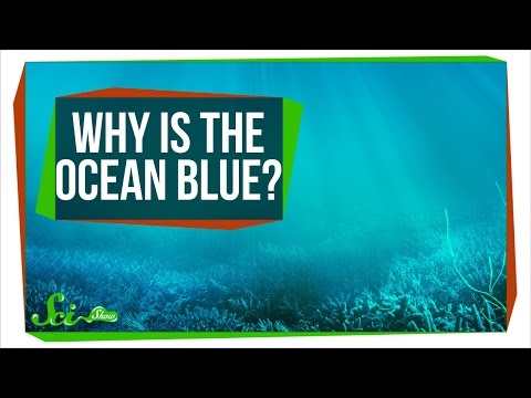 Video: Why Is The Water Blue