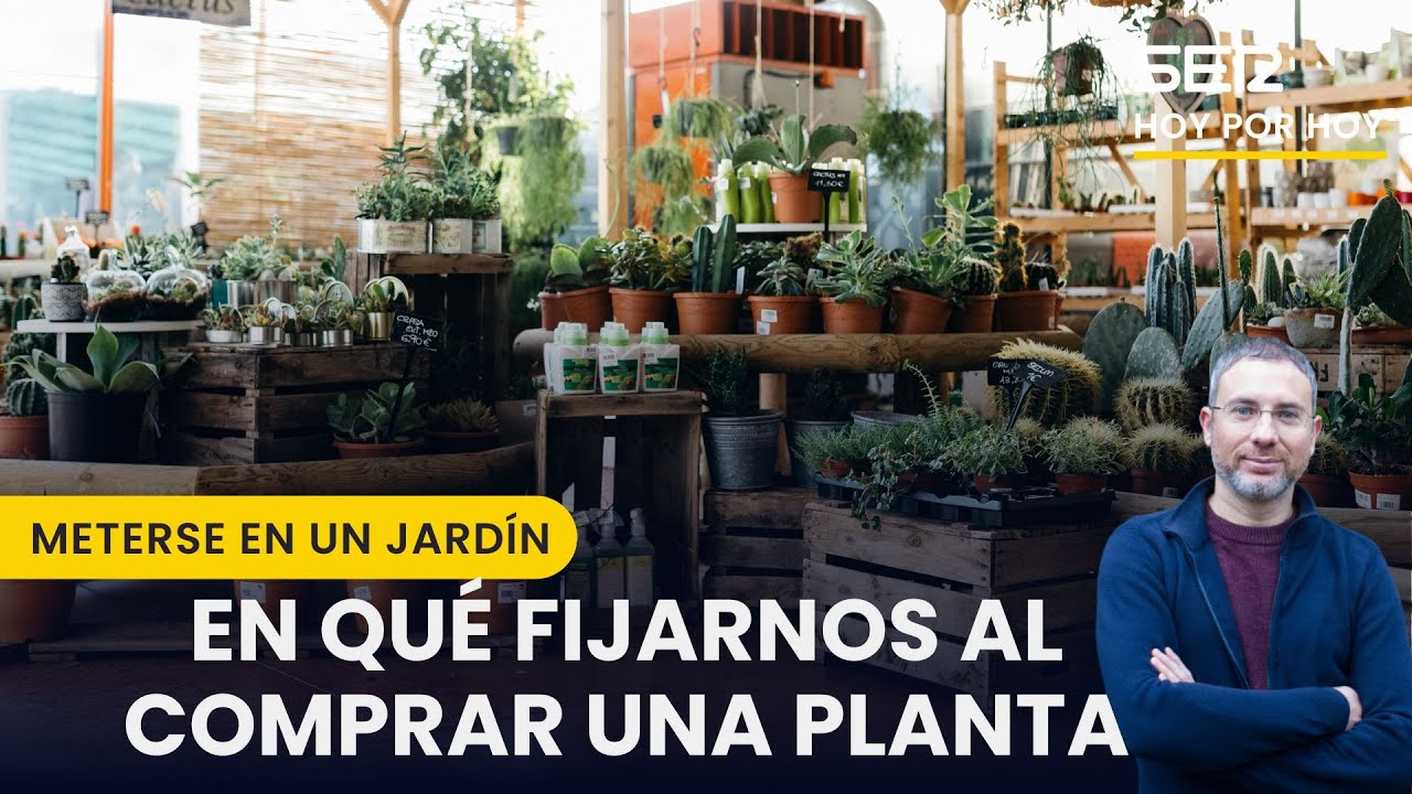 🪴 En qué tenemos que fijarnos cuando compramos una planta | Meterse en un jardín, Eduardo Barba
