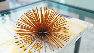 252B Monarch Park Ave