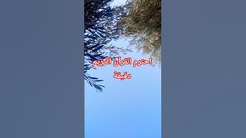 احترم القرآن الكريم دقيقة #اكسبلور #قرآن #المصحف #راحة_نفسية #الرحمن #لايك