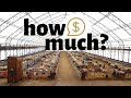 How much did it cost to build our sheep barn?  Vlog 220