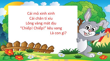 Câu đố vui về các con vật