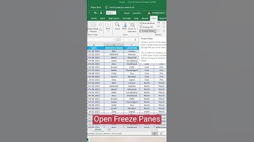 How to Freeze Row & Column #excel #msexcel #shortsvideo #shorts #ytshorts #eleganceacademy #freeze