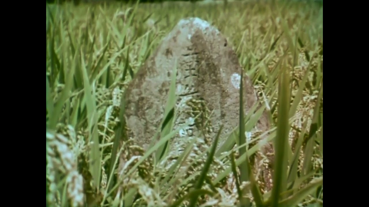 昭和43年　付知峡