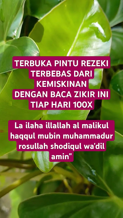 zikir 100x 'La ilaha illallah al malikul haqqul mubin muhammadur rosulullah shodiqul wa'dil amin'