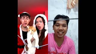 Fake Wrap viral funnys funny