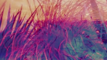 Rising Seed - Train To Kismarton