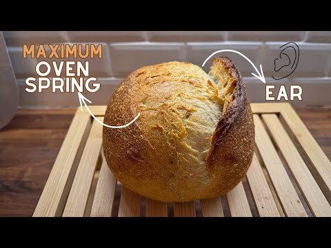 5 Tips for Perfect Sourdough Ear