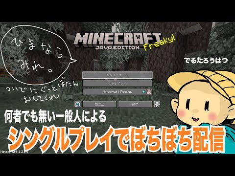 【マイクラ配信】家の周りをふらふら【＃５】