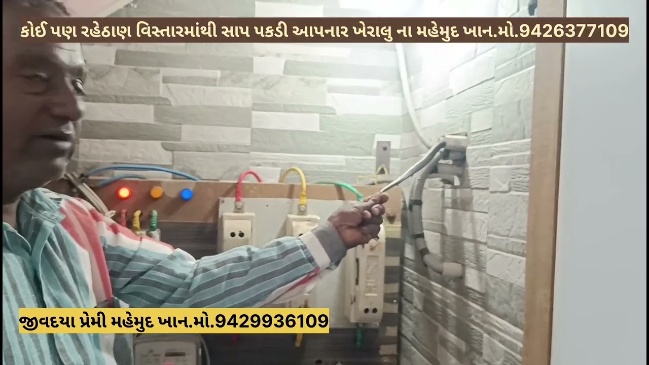 વિસનગર વિજાપુર હાઇવે રોડ ટચ સુભમ હોટલ મો લાઈટ મીટર ઓરડીમો બેબી કોબ્રા સાપ ખેરાલુના મહેમુદ ખાને પકડયૌ