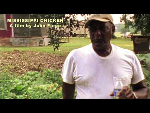 Mississippi Chicken: Hog Farm Clip