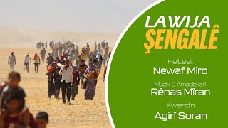 Lawija Şengalê Helbest