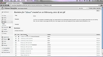 Using Version Control in Wordpress