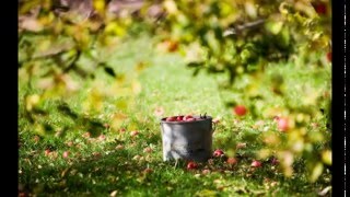 Ruqyah   Ayn Hasad Jealousy Evil Eye Nazar