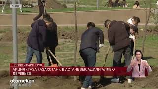 Акция «Таза Казахстан»: в Астане высадили аллею деревьев