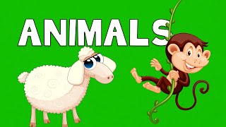 Animals in English - Vocabulary