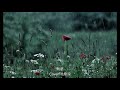 黙恋/五木ひろし/Cover北原涼