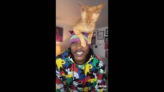 Best Tiktok&#39;s Cute &amp; Funny Cat Videos Compilation - NEW Clean Tiktok August/Sept 2020 (Ep. 1)