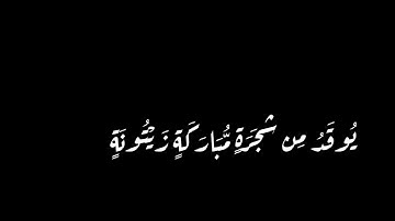 ﴿ يَهْدِي اللَّهُ لِنُورِهِ مَن يَشَاء ﴾ سورة النور القارئ ناصر القطامي