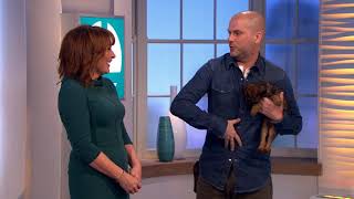 Show Two. Steve Mann Dog Trainer on TV show with puppy Border Terrier