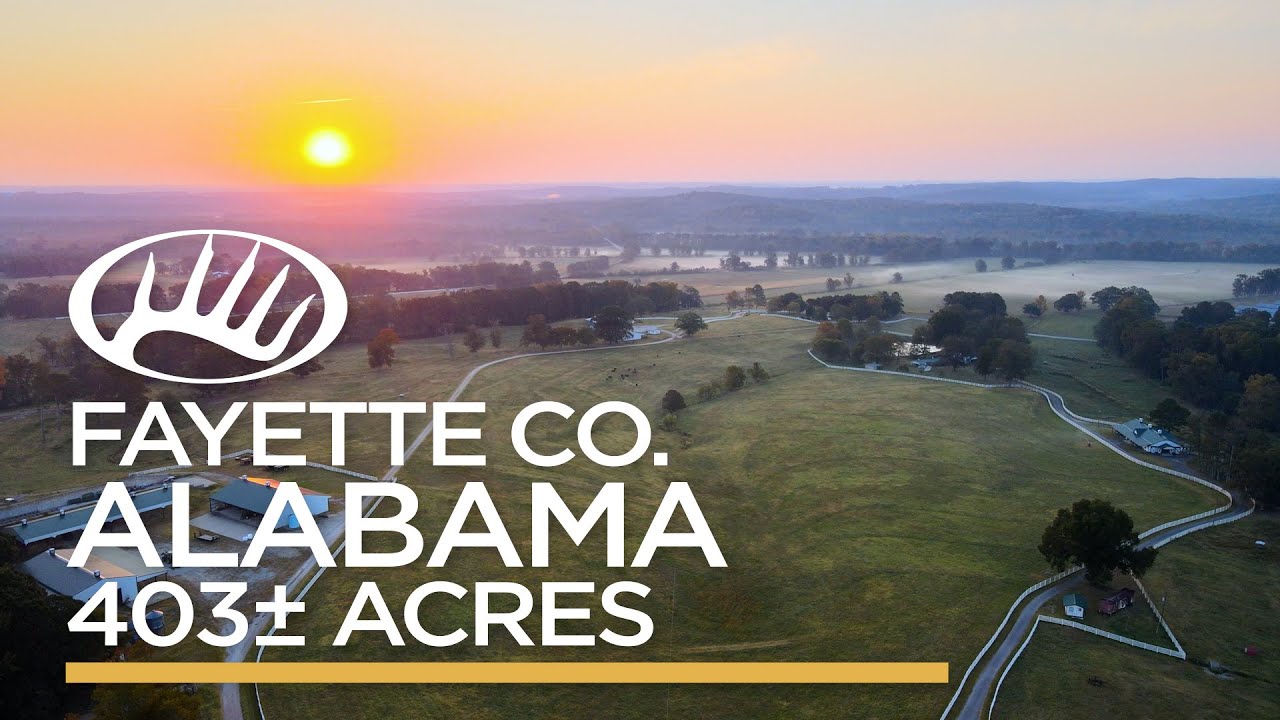 Fayette County, AL 403 acres YouTube