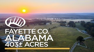 Fayette County, AL 403 acres