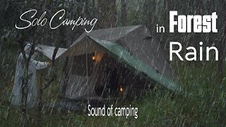 [4k] Solo Camping in Rain Forest | Rain, Asmr | Hồ Tuyền Lâm