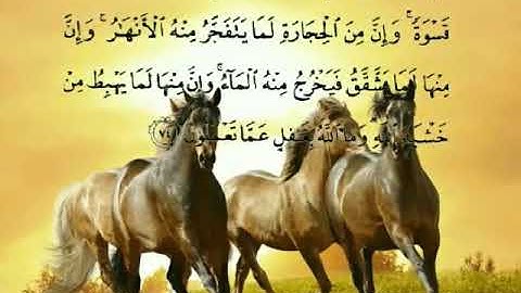 سورة البقرة قراءة وصوت الآيات (73 :76)