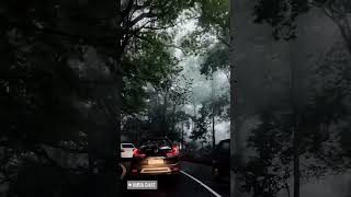 Amboli ghat ❤️❤️❤️