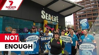 Thumbnail for Animal welfare could be put at risk, Sea Life Aquarium staff say | 7NEWS