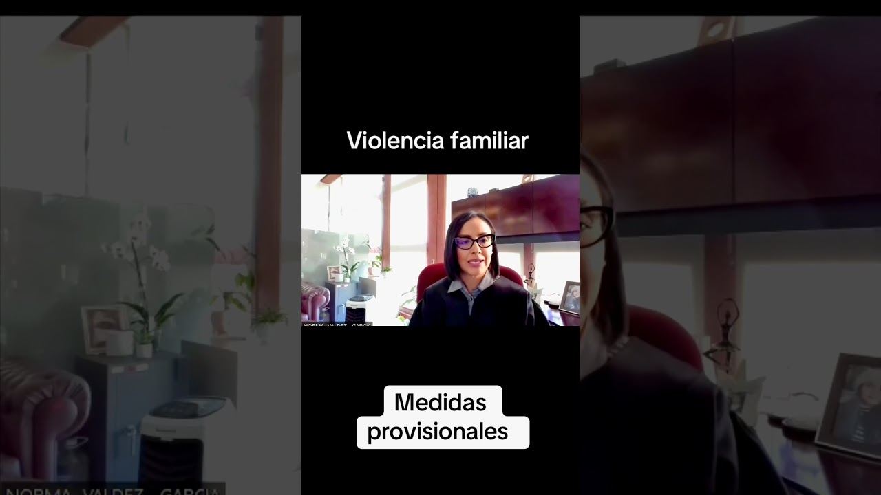 Domestic violence. Provisional measures