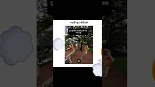 😒😂sira siddi mewwa😂😒#viral #down_south #fybbbbbbbbbb #1millionviews #funny #memes