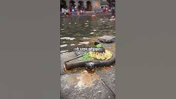 महादेव कहते है तुम कर्म तो करो #mahadev #bholenath #shiv #shorts #status #bhkati #bhajan #om #shiva