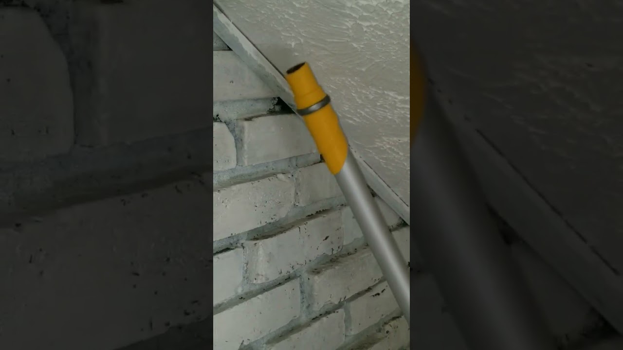 Giant Spider & Babies Vacuum Removal