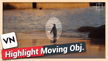 Highlight Moving Object or Part of a Video | VN Video Editor Tutorial
