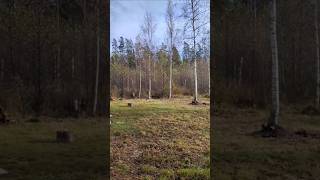 Выбор и покупка участка (Часть 2)