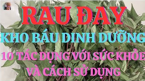 Cây Rau Đay: Kho Báu Dinh Dưỡng - 10 Tác Dụng Với Sức Khỏe Và Cách Sử Dụng