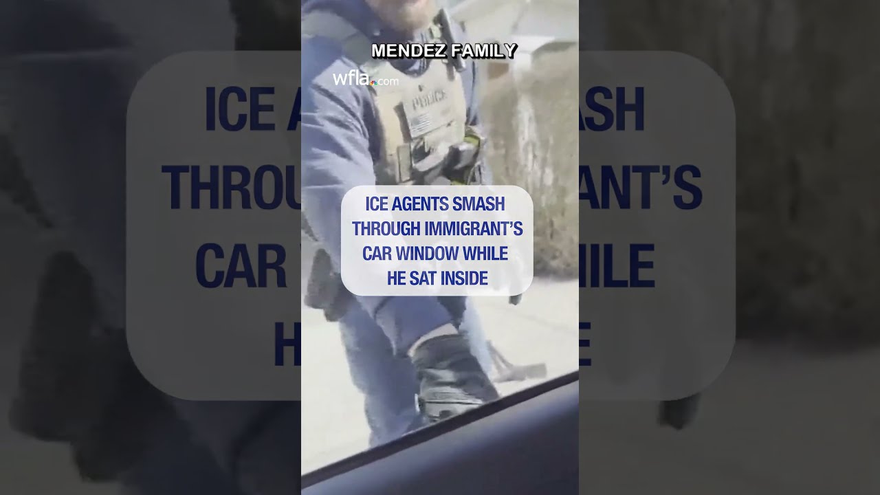 ICE Agents Shatter Car Window During Arrest News Massachusetts Immigrant Wfla