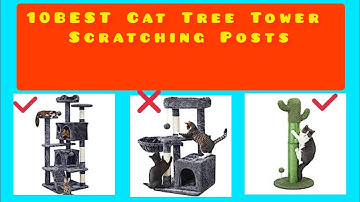 10 Best Cat Tree Tower Scratching Posts/Cat Climbing Post on Amazon(don
