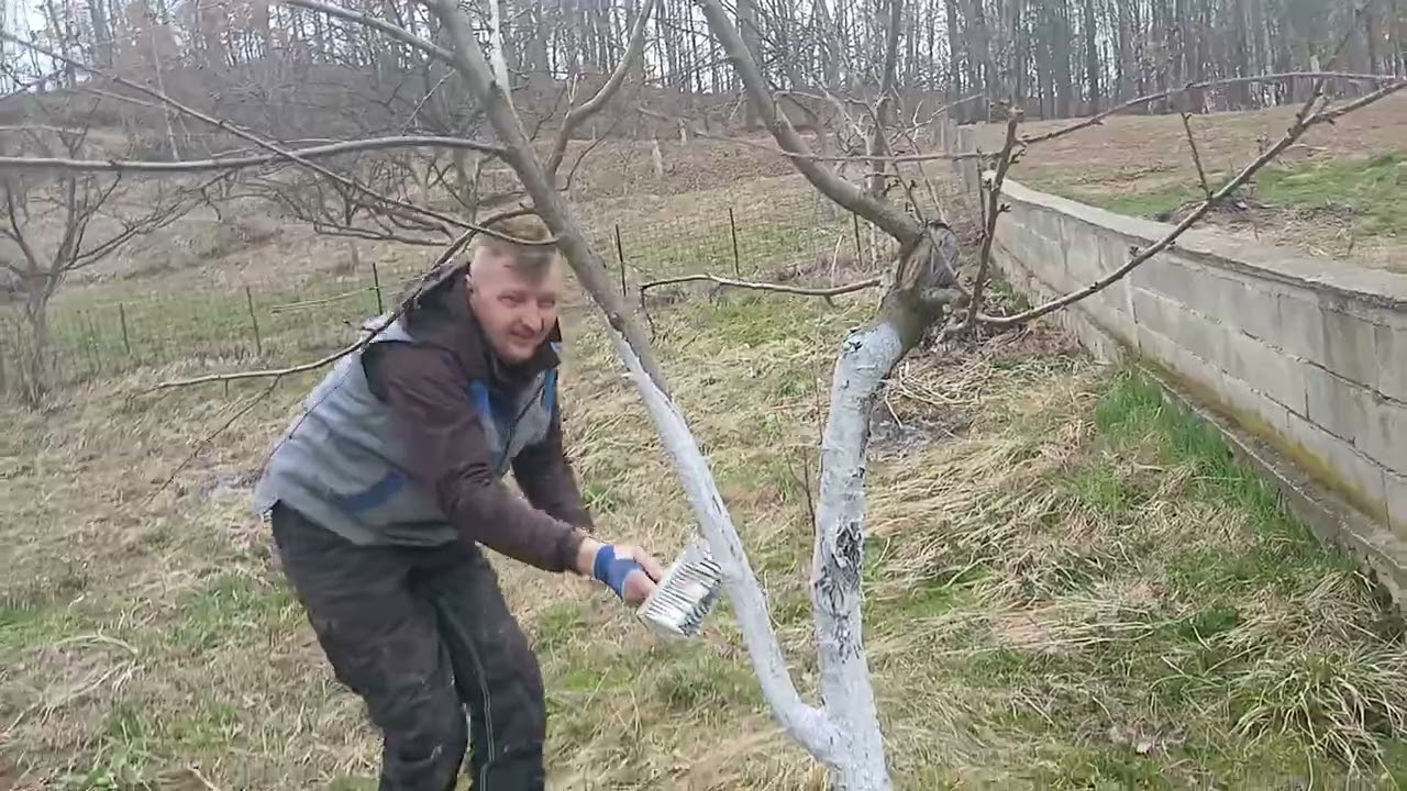 Novi poslovi oko nove kuce su poceli