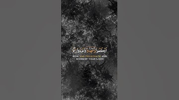 سورة الحج🌹 الآية ٧٧