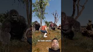 Surviving a Gorilla Exhibit The Great Escape | Education Films