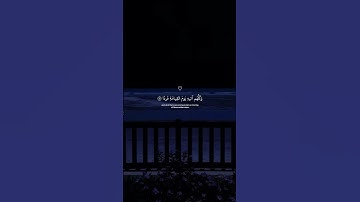 راحه نفسيه للقلب_🎧_#quran #بصوت #القارئ #عبدالرحمن_مسعد #القرآن #راحة_نفسية 🤍🎧🤍🌿🎧#القرآن_الكريم 🤍🤍🌿🌿