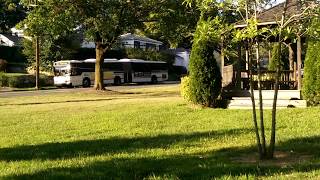 Bee line bus route 60