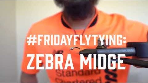 #FRIDAYFLYTYING: Zebra Midge