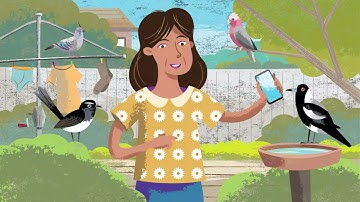 How to submit a BirdLife Australia bird survey using the Birdata app | Birds in Backyards