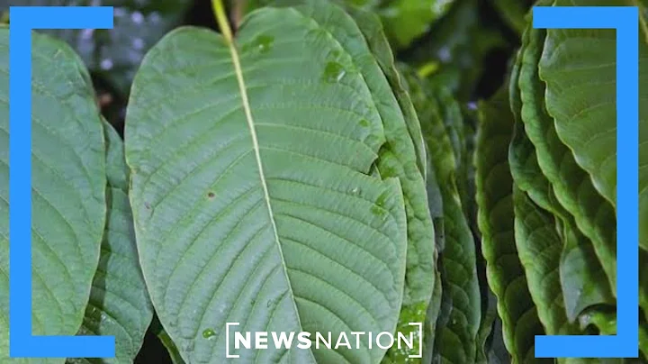 FDA warns against consumption of kratom | Morning in America