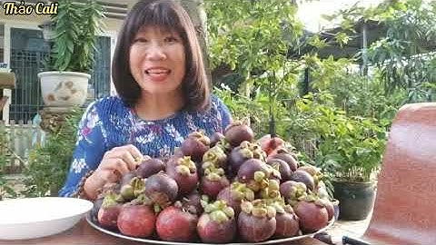 Vô vườn măng cụt, mua một mâm trái cây chôm chôm, bưởi, nhãn, cóc quá ngon