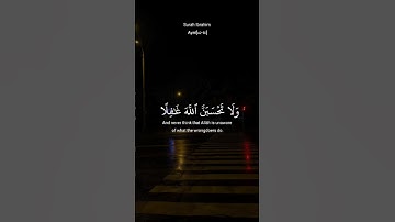 وَلَا تَحْسَبَنَّ اللَّهَ غَافِلًا - تلاوة خاشعة | القارئ صلاح ابراهيم
