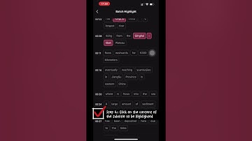 Boost Production Efficiency: 3 Steps to Set Batch Highlights for Subtitles